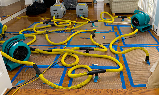Professional Sewage Cleanup technician working in Carson, CA
